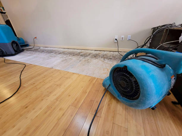 Professional Flood Damage Cleanup technician working in Waldron, MO